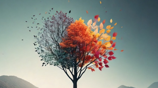 6f515718-99f3-41d9-9b68-6c9f5c801302